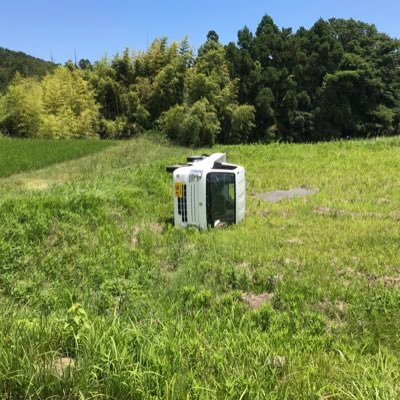 TKJP15731333's profile picture. 