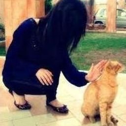 Smeytolarlla9Z's profile picture. 