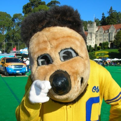 gumpertment's profile picture. Just another Cal burner making it through another year