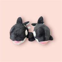 まんまる (@tknkpm) 's Twitter Profile