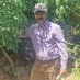 Yifru T Bekele (@yifrutafesse) Twitter profile photo Yifru T Bekele (@yifrutafesse) Twitter profile photo