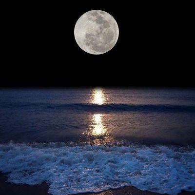 SolitudeVibes's profile picture. It's your life. Live it your way.