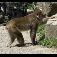 国鐡好き (@ksj7raszuc31777) Twitter profile photo