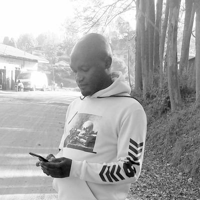 Bosco1736930's profile picture. Mastermind