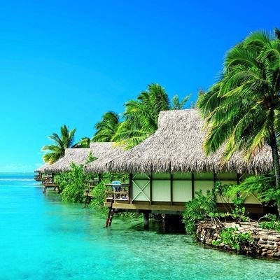 Meta56199429737's profile picture. Here to $MINE GMs