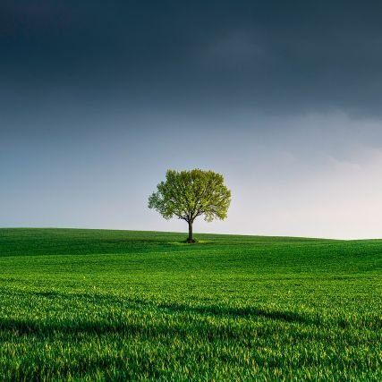 TrakVibes's profile picture. Interested in Photography/ Arsenal/ Adventist