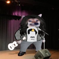 Rockafella (@rockafella737) 's Twitter Profile
