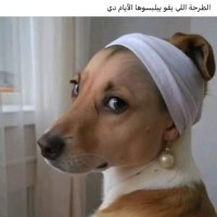 منار احمد (@amr_mibrahem) 's Twitter Profile
