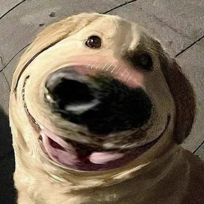 Pxnfx_'s profile picture. 