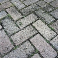 HopeLeaksInfernal (@botshaverights) 's Twitter Profile