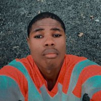 Good turtle 🐢 (@good_turtl19460) 's Twitter Profile