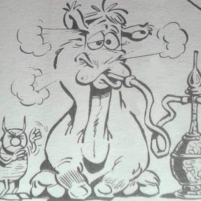 Dromadaire académicien de la #TeamOM chez https://t.co/oYdVTYqFqy. Speaker officiel du Poney prolétaire pertuisien. Acolyte motchusien.