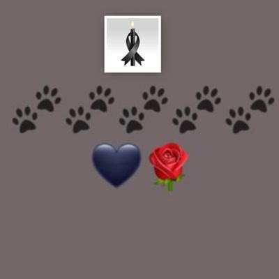 malaumaral's profile picture. #Tengoelcorazóntriste
Española, no te gusta, pues no mires.
VERDE
Un insulto  a España, un insulto a mí. Bloqueo automático.