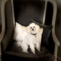 Ruth Moncrieff (@moncrieffruth) 's Twitter Profile