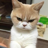 ElSancho 🎮🎞🚗 (@mr_elsancho) 's Twitter Profile Photo