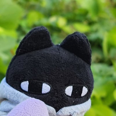gamzatiny's profile picture. 🐈‍⬛검은 고양이🐈흰 고양이 될 때 까지 애정해🔥