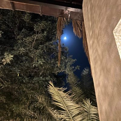 v4vt00's profile picture. 