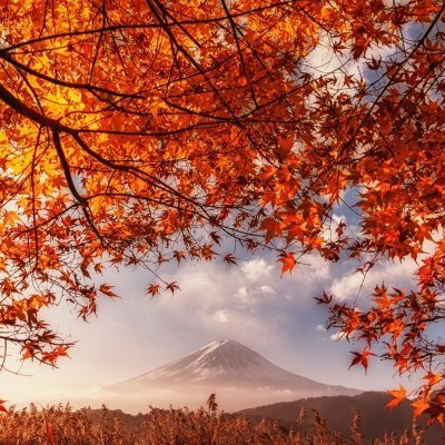 grqe881150's profile picture. 