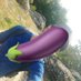 MONSTER 🍆 🇬🇧 🦦 🔝 (@sammnstrcck) Twitter profile photo MONSTER 🍆 🇬🇧 🦦 🔝 (@sammnstrcck) Twitter profile photo