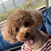 こっこ (@l1wlucn) 's Twitter Profile