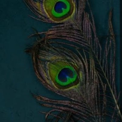 Dev_rahul__'s profile picture. 