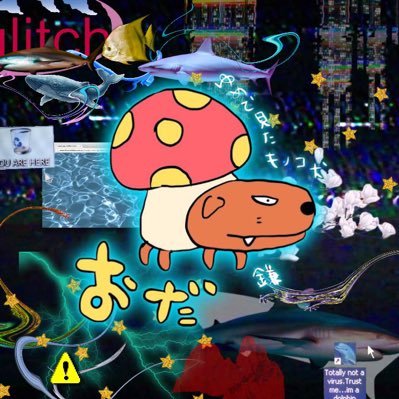 _5_0_1's profile picture. 厚揚げになりたいあんにゅいなバイブスのおとうふ、匂わせツイートしてすまし顔、お水飲み師、2日目のカレー