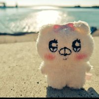 pinky (@hachiwarelove20) 's Twitter Profile