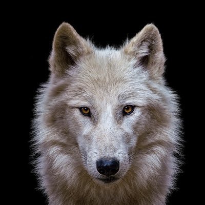 “La naturaleza es un misterio que nos invita a comprenderla.”