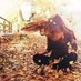 Quought (@quoughtqjsuw) Twitter profile photo Quought (@quoughtqjsuw) Twitter profile photo
