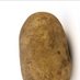 spud (@itsspudbro) Twitter profile photo spud (@itsspudbro) Twitter profile photo