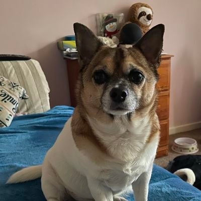 Smurffie's profile picture. Wot to say... Erm this is me ... nuff said :D