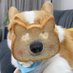 zzj (@zzjzzj_) Twitter profile photo zzj (@zzjzzj_) Twitter profile photo