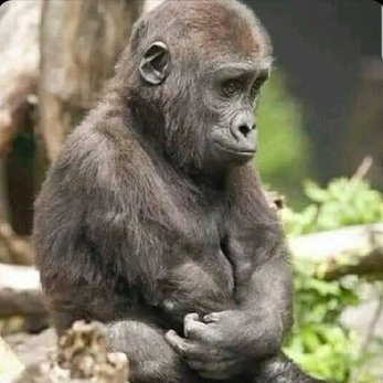 wazmee93's profile picture. 😆😆