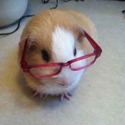 ukssinni's profile picture. 