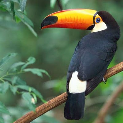 Michael72895302's profile picture. 