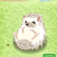 取引垢 (@_iiiikho) 's Twitter Profile