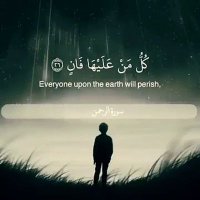 صفاء (@ss_a_f_a) 's Twitter Profile