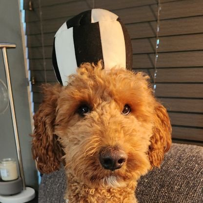 QRebeccaR's profile picture. Stop giving energy to things you cannot control.