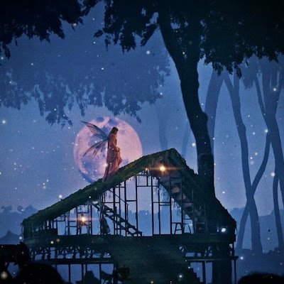 folkwhvre1123's profile picture. 