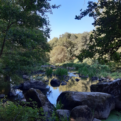 shitbox777's profile picture. 