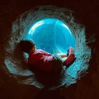 mi_02's profile picture. 音楽と映画と漫画と遂に40代。 コロナを経たメンタルの弾力性低下に焦り、FL Studioで曲を作りはじめました。 嫁子供の寝静まったリビングでひっそり作ってます。https://t.co/0VcgCuiDs7