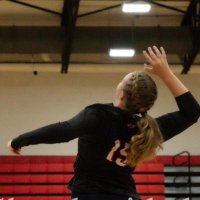 Cat (@catbvball) 's Twitter Profile