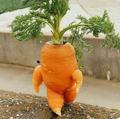 HHさんのプロフィール画像