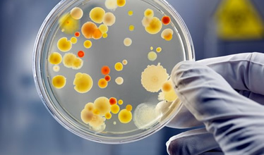 The ambassador of the American Society for Microbiology in Indonesia,where Indonesian scientists and science enthusiast can share the latest news about science.