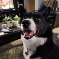RinaLee (@rinalee77) 's Twitter Profile