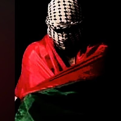 WAbdouhoda's profile picture. 