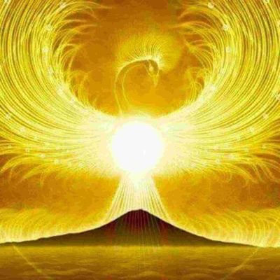 iThoLpMqak74067's profile picture. 