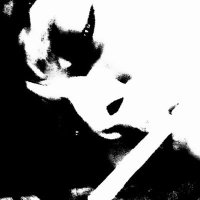 Sobo (@sobosawa) 's Twitter Profile