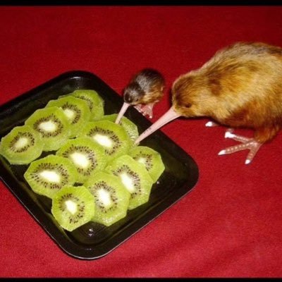 NuCannibal's profile picture. 