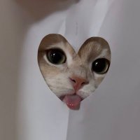 ffffffffffffff (@nurlunursuzz) Twitter profile photo